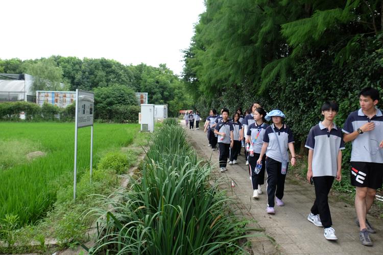 暑期学校户外生态考察活动