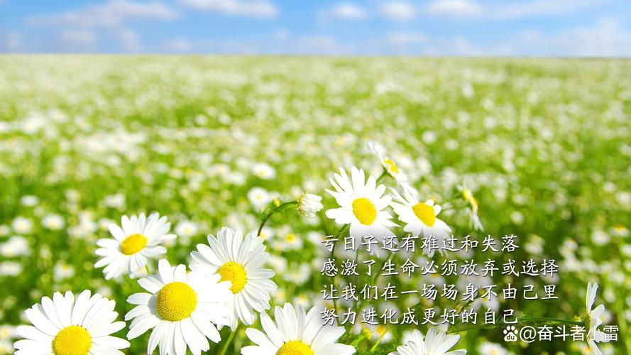 日子,是慢慢熨平整的