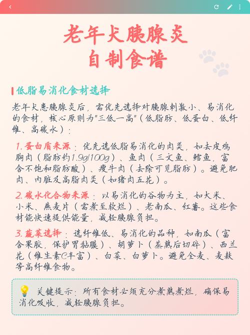自制犬胰腺炎低脂鲜食食材搭配