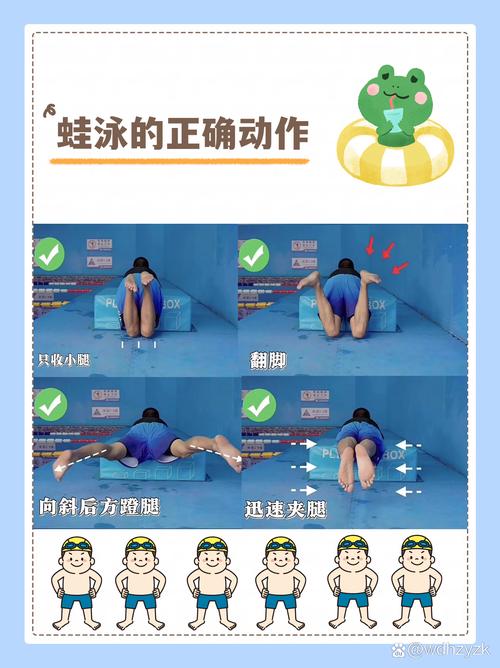 蛙泳翻脚动作侧面实拍图