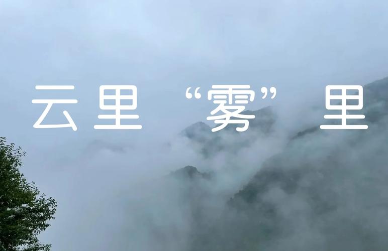 三、城市薄雾:浪漫与警惕的交织