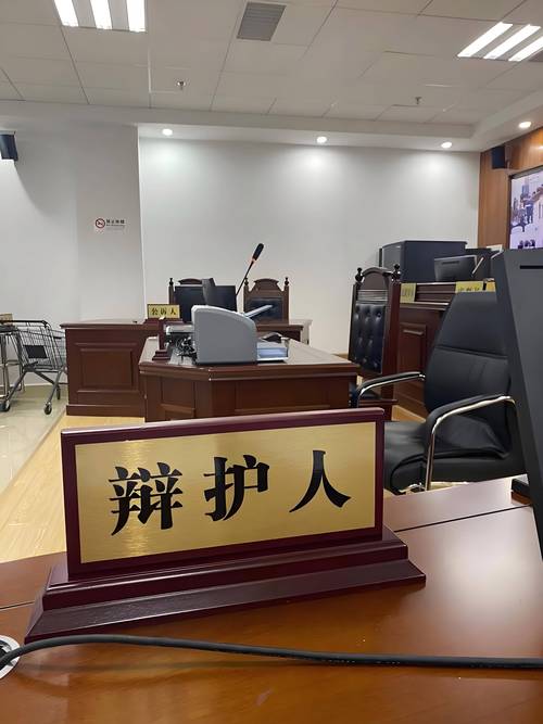 法庭上律师激烈辩护特写