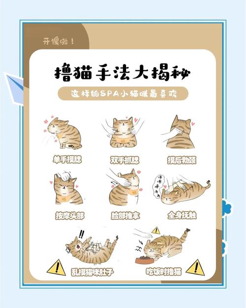做好这几件事，完全可以安心撸宠