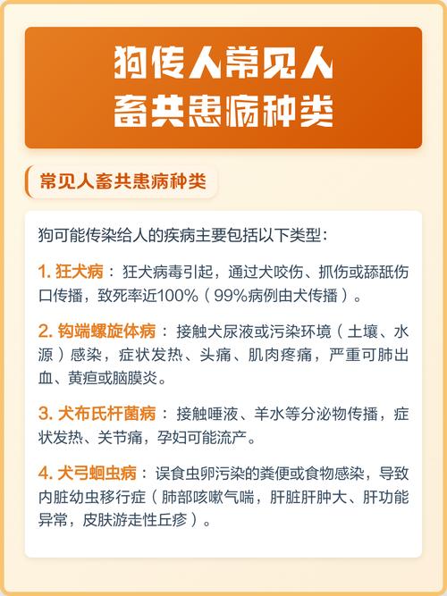 常见养宠人畜共患病病原体分类表