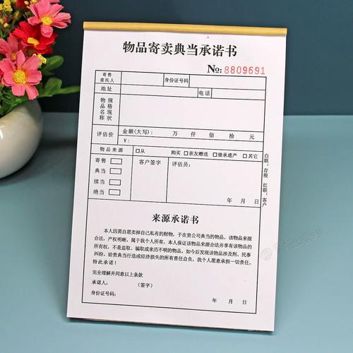 正规典当行当物所有权登记现场