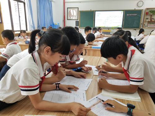 中小学项目式学习小组讨论白板