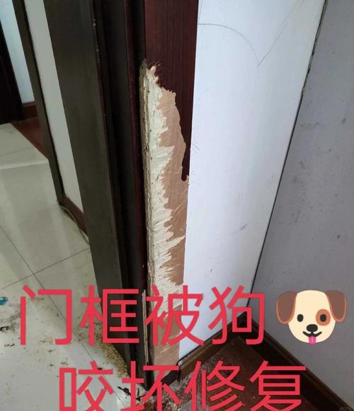 狗狗独处时啃咬坏门框的现场