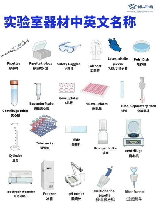 小学科学 常见实验器材名称与图示对照表