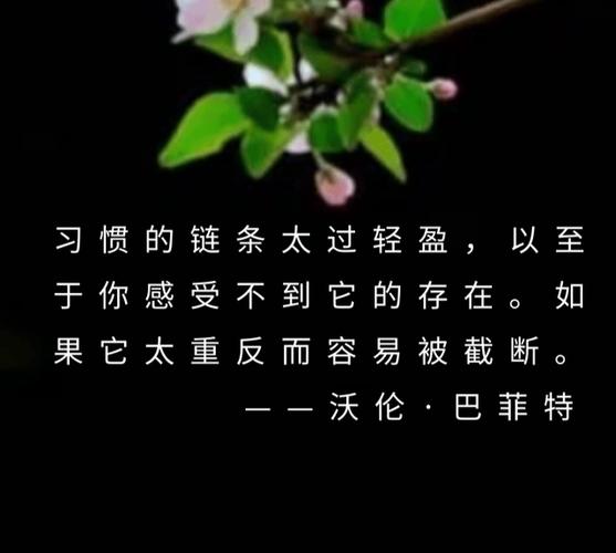 控制好长度，别浪费位置也别被截断