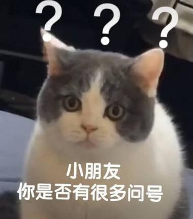 你可能会问这些