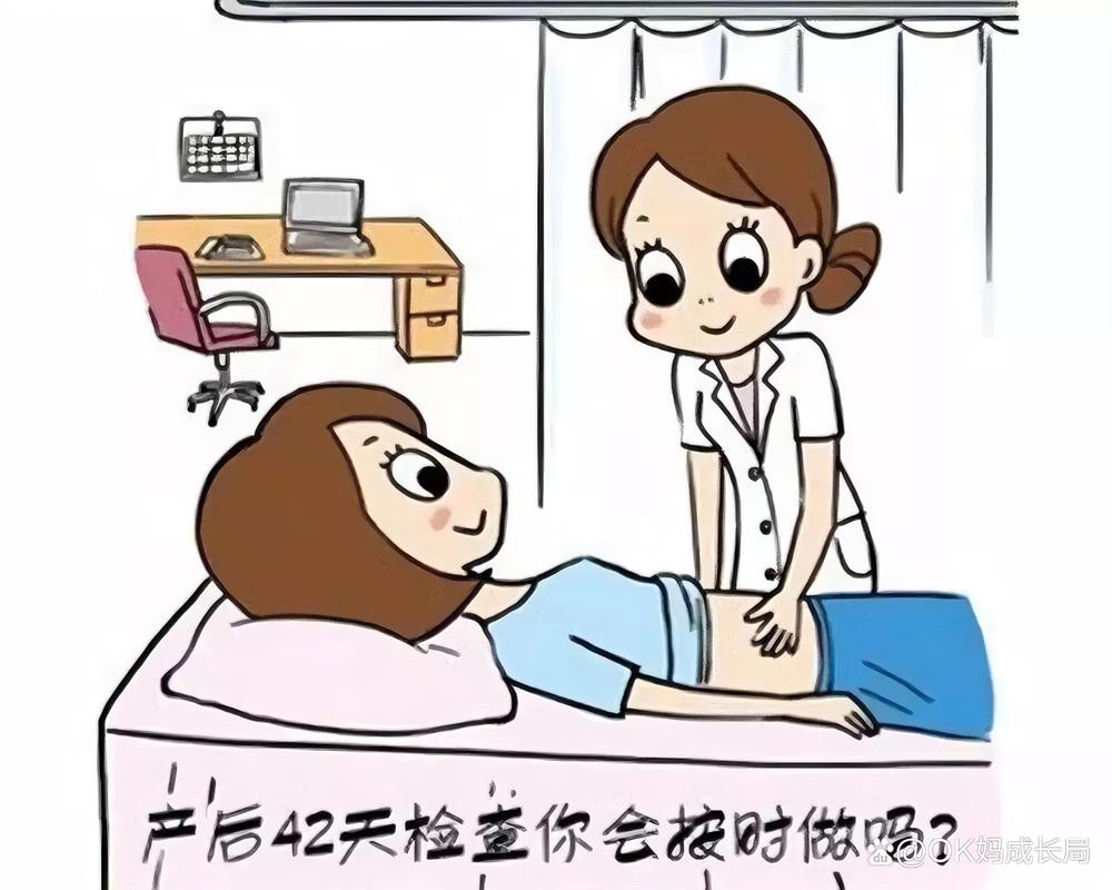 产后42天盆底健康检查示意图