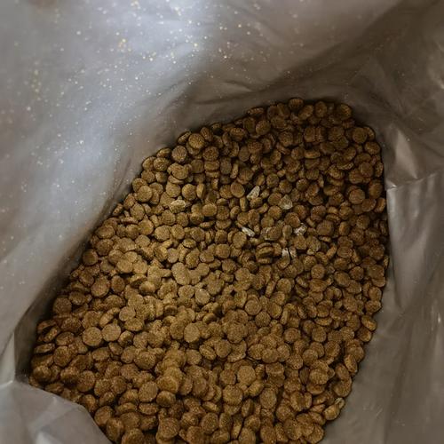 发霉狗粮放在狗狗自动喂食器粮桶内实拍