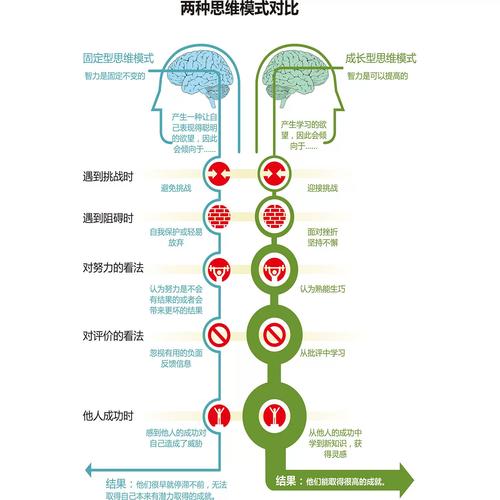 成长型思维与固定型思维大脑神经网络对比示意图