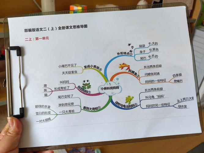 学生用思维导图做课前预习主动求知知识框架图
