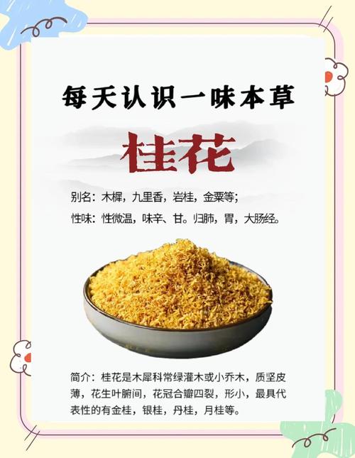从食用到入药,桂花其实是个“宝藏”