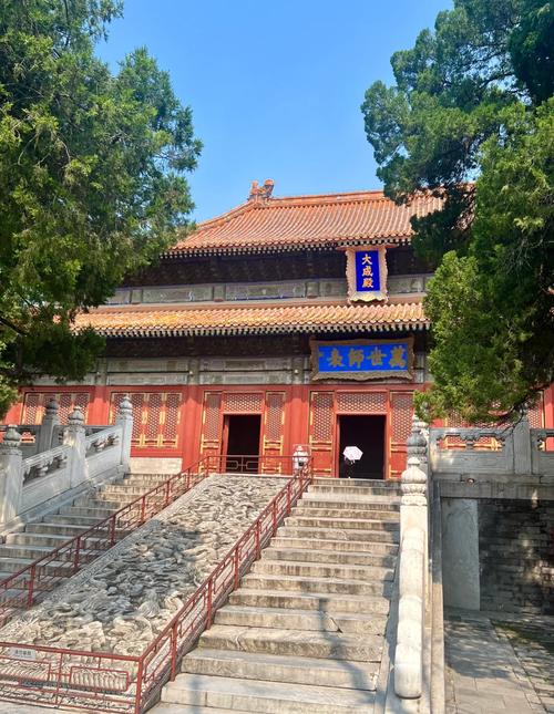 曲阜孔庙大成殿檐角风铎与古柏光影