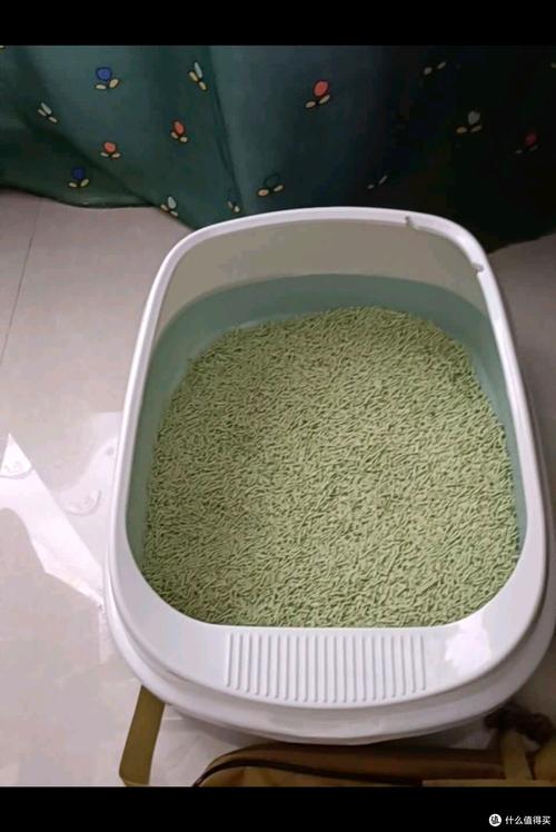 放在卫生间发霉的猫砂盆实拍