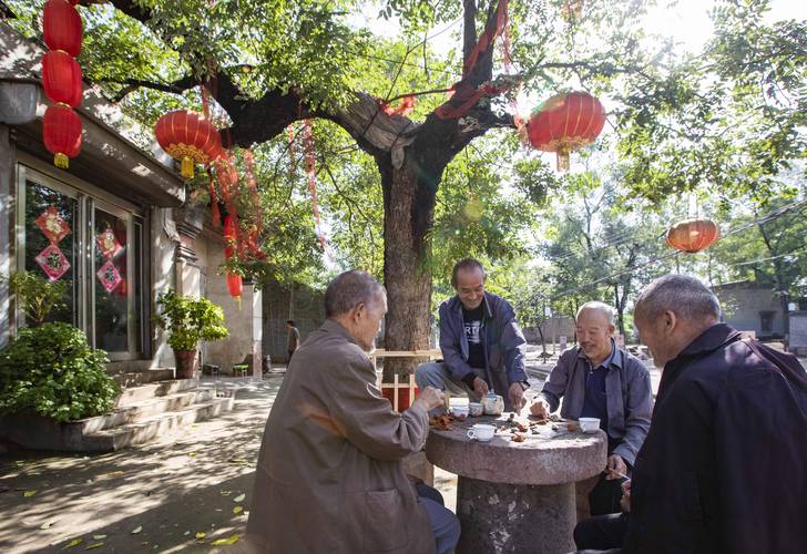 小区树荫下几个老人坐一起聊天喝茶