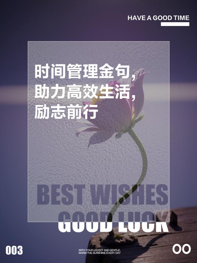 别把时间管理,做成一场自我惩罚