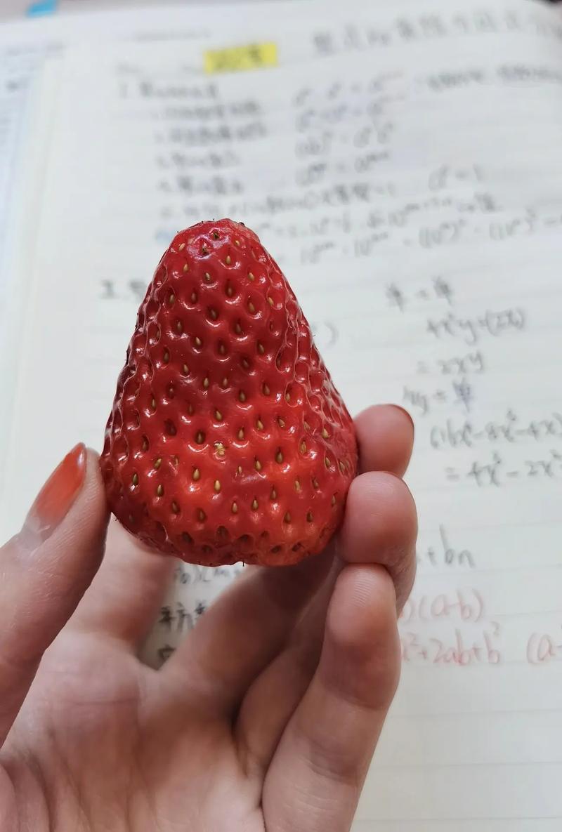 老师在学生作业本里夹草莓硬糖的特写