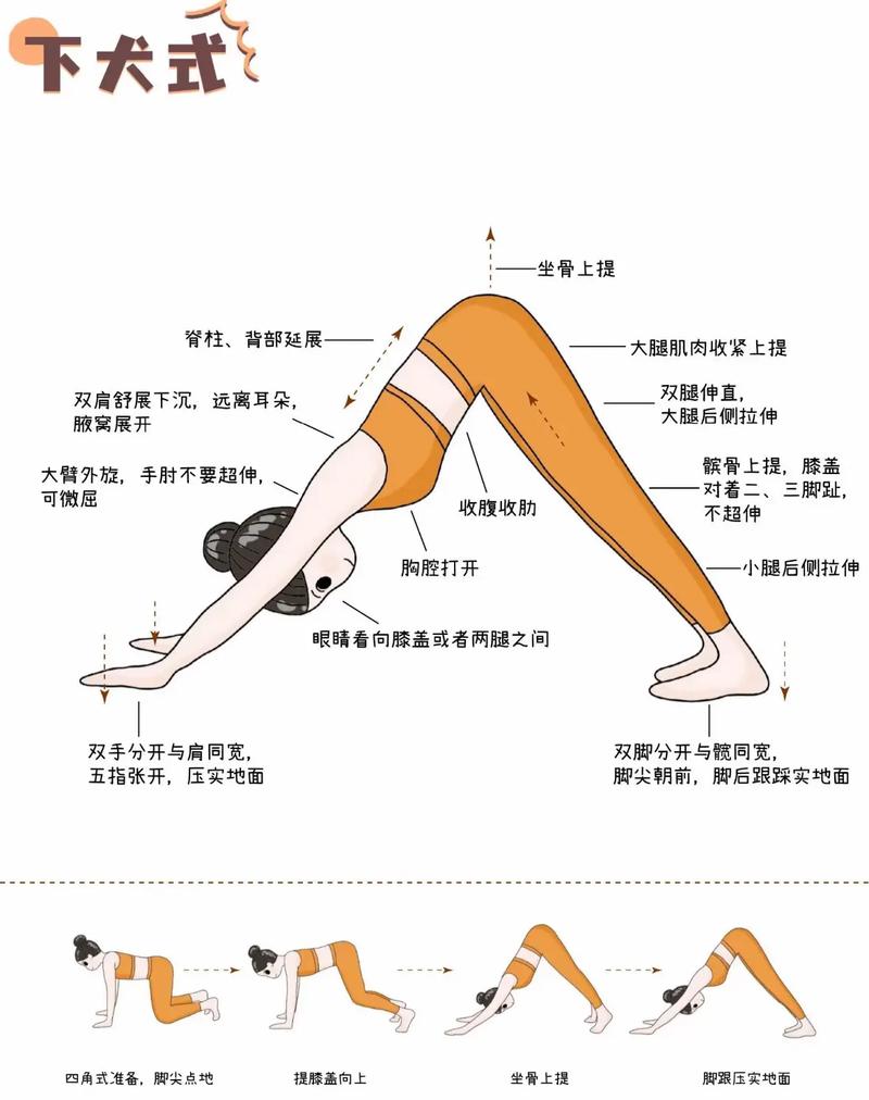 瑜伽下犬式正确与错误对比示意图