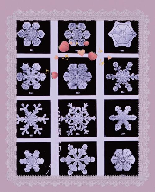 中谷宇吉郎雪花形态图