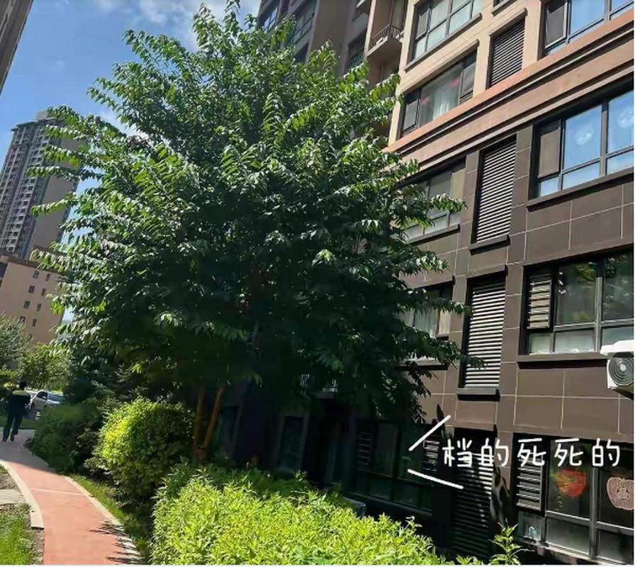 南京傍晚工作日小区楼栋遮挡采光实拍