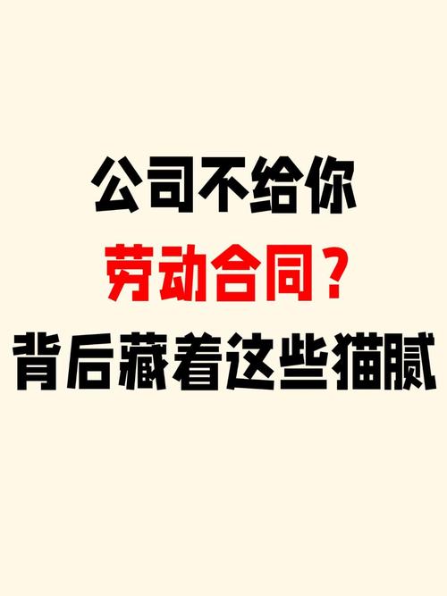 参数里藏着，行业不说的猫腻