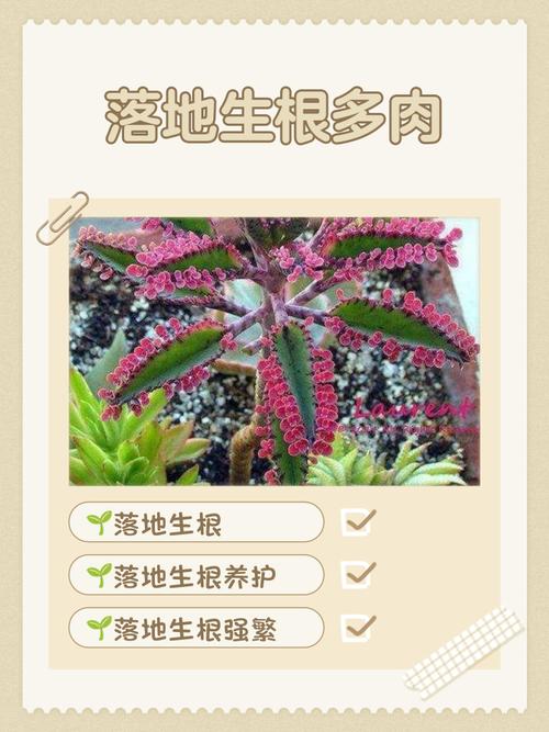 让劳动周‘落地生根’的四个小锦囊