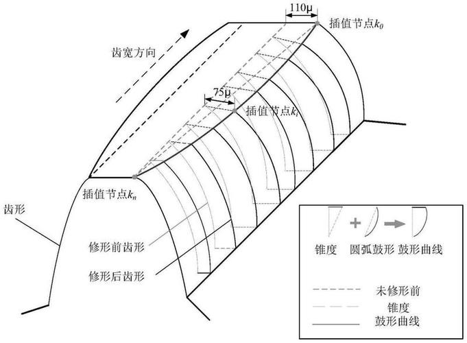 斜齿轮齿向鼓形修形三维图