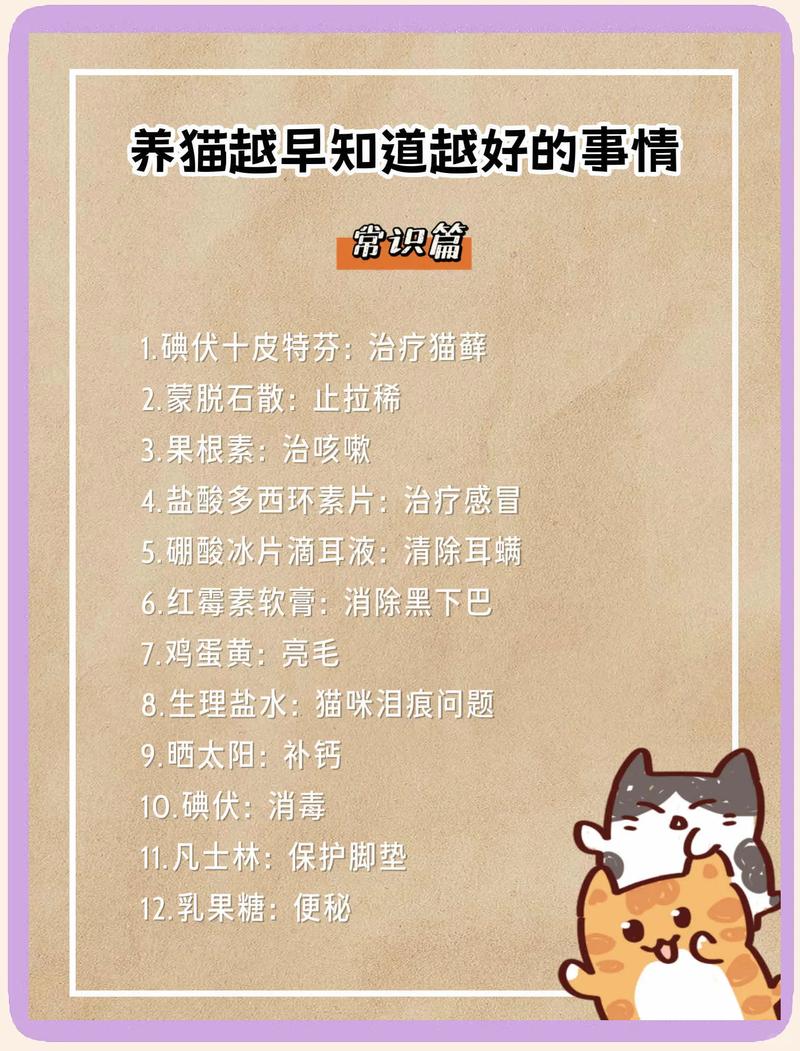 实用小贴士请收好