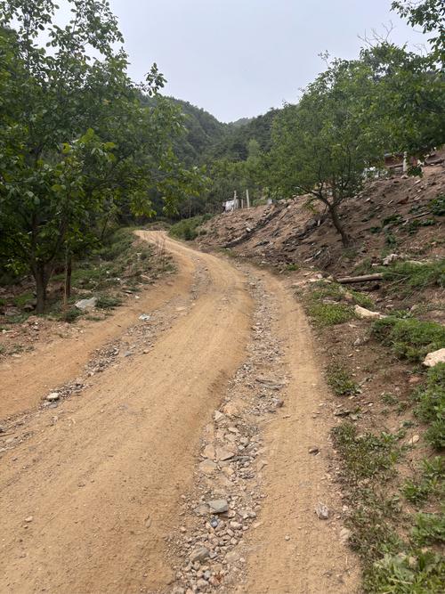 交通的野路子