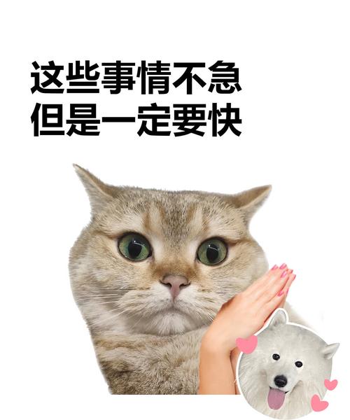 万一被发现了...别慌！