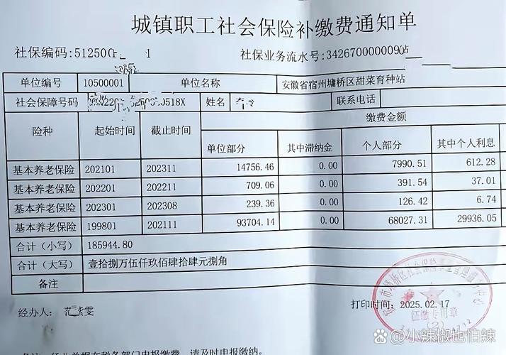 社保局盖章养老保险个人缴费明细单