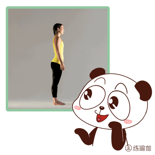 动态调整才是长期正确的做法