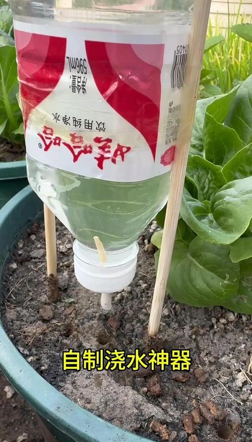 不止浇水工具，这些随手就近放的物品都要注意