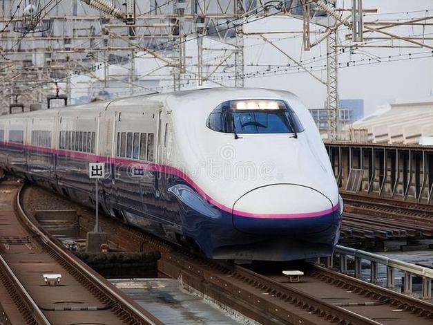生态设计原则：从蚊子口器到竹纤维杯的真相