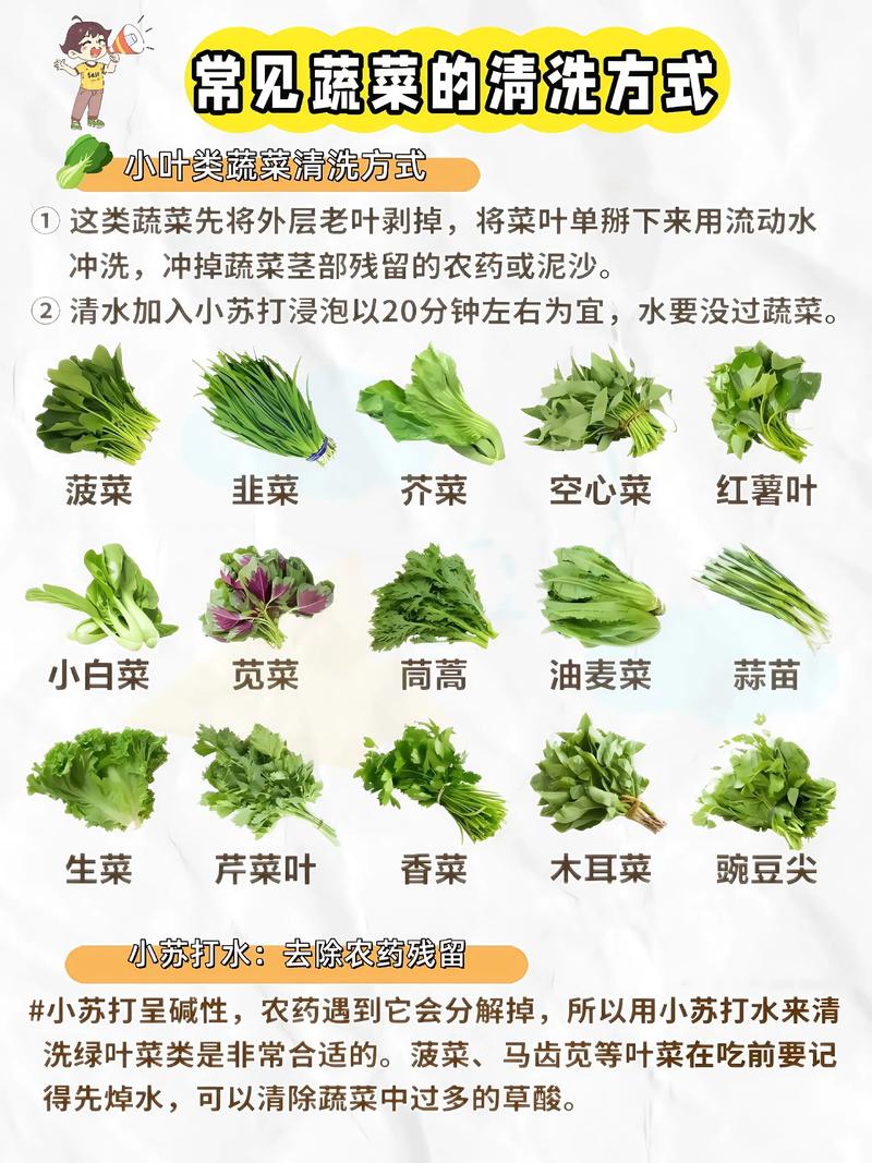 蔬菜盐水浸泡去除泥沙方法图解