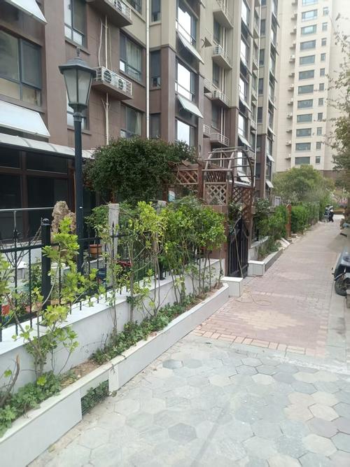 城市小区一楼占用公共绿地扩建的违章院子实拍
