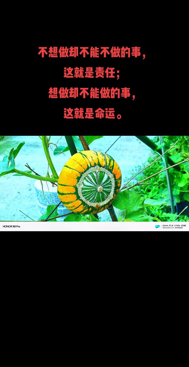 写在最后,但不做排名