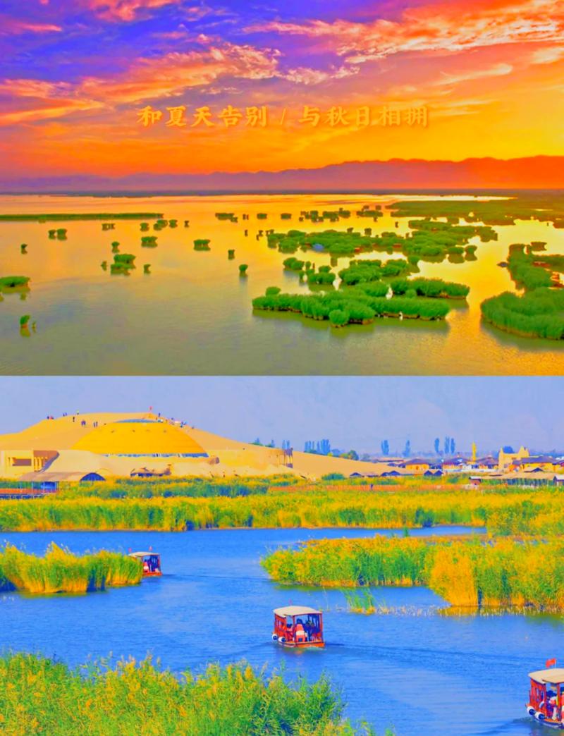宁夏沙湖金沙碧水交界景观