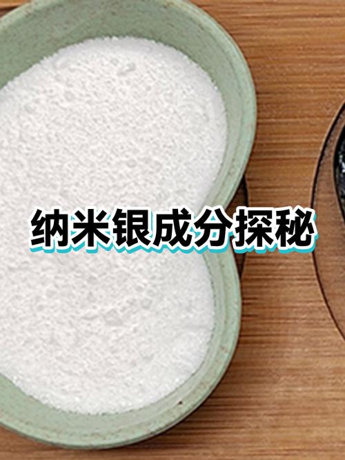 纳米银改性食品保鲜袋微观结构图