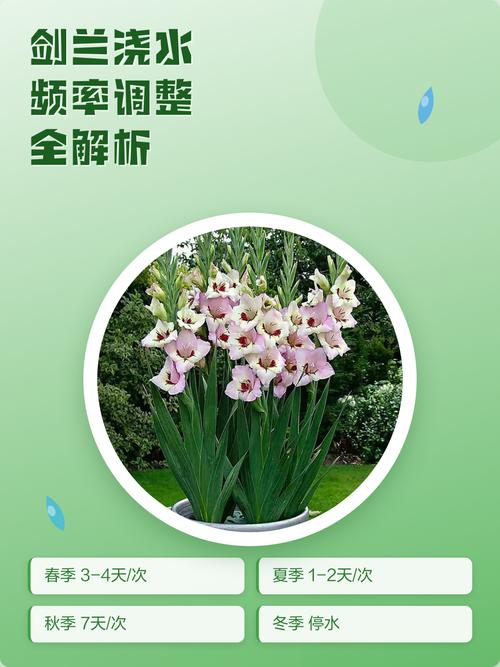 盆栽定期筛选,频率怎么选?