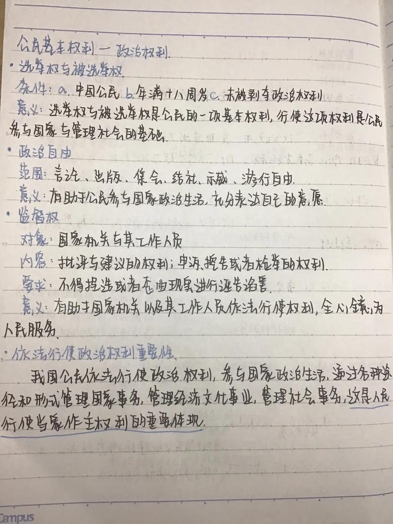 法庭庭审法律适用争议手写笔记