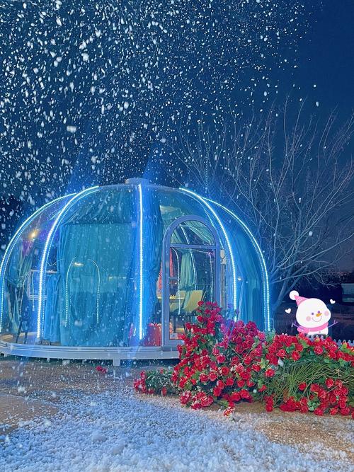 熊猫大道星空泡泡屋夜景