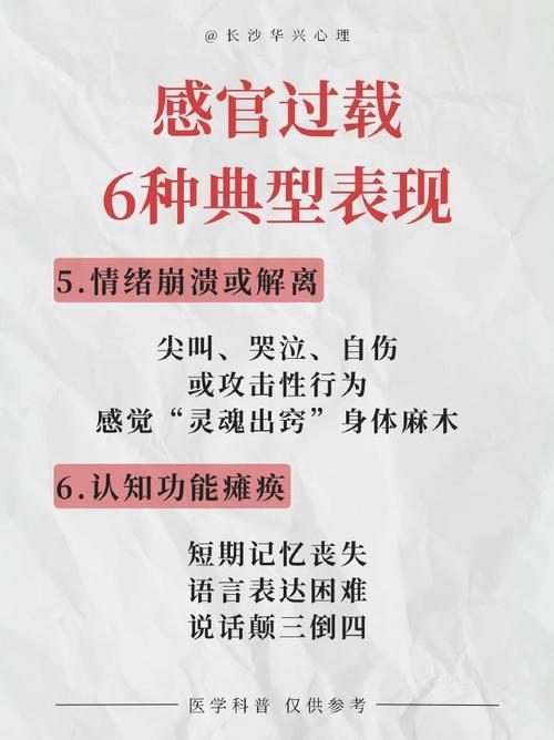 感官过载时代，我们为什么需要“干净的刺激”