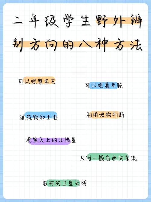 怎么找到适合自己的方向?我的血泪方法论