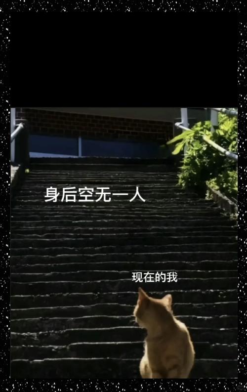没人提,但一直站在背后