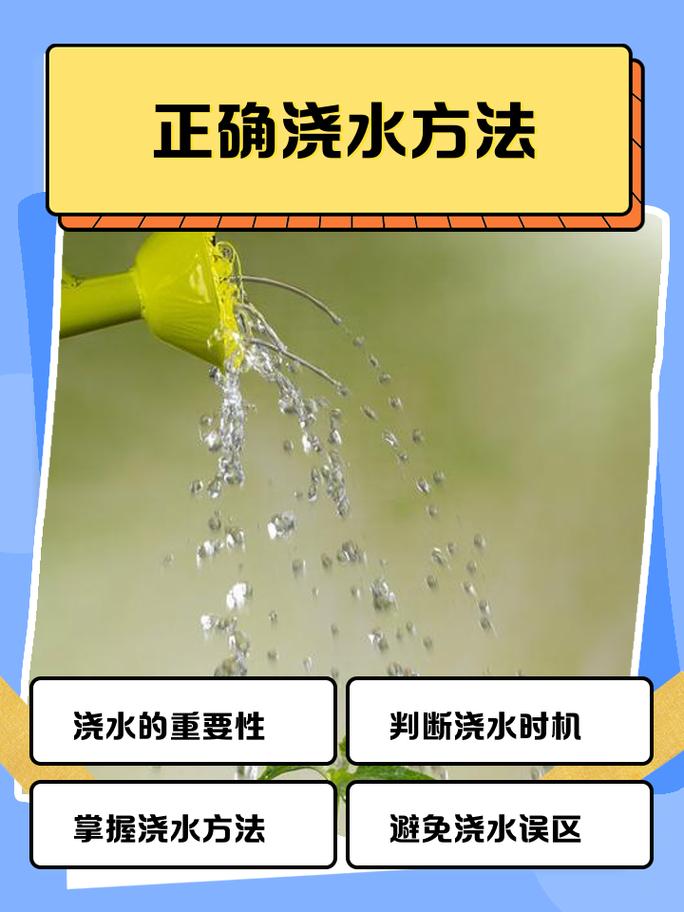 浇水的时间:早晚最好,中午别作死