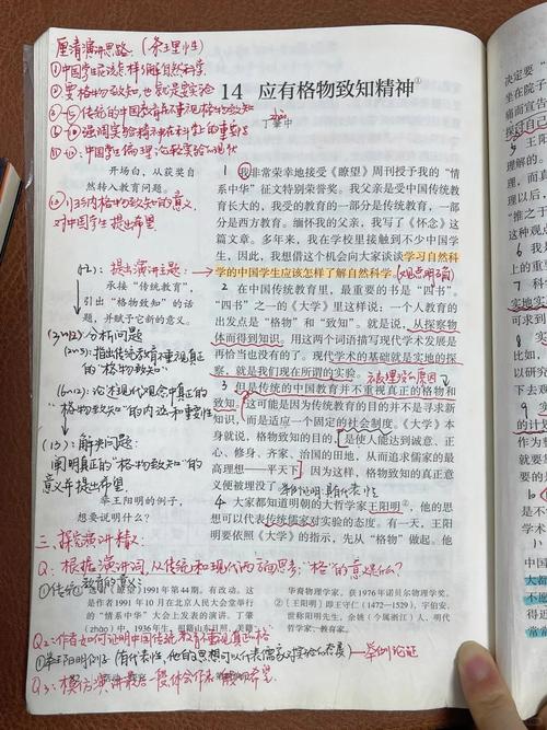 初中学生课本边角手写知识点易混点批注的特写